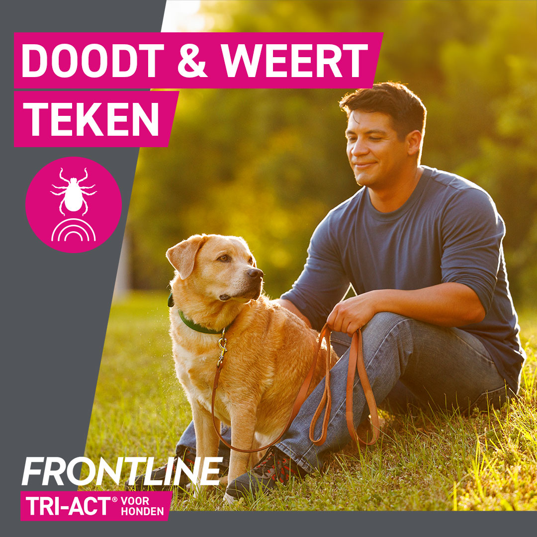 BUYVIKAY Set van 6-kleurige hondenknoppen met DRIE matten en stickers-hond training buzzer-opname-weergave van je eigen bericht om je honden te leren hun stem te gebruiken voor wat ze willen